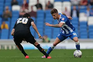 Brighton & Hove Albion vs. Blackpool: 2014-15 Season Home Game