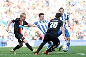 Brighton & Hove Albion vs. Blackpool: 2014-15 Season Home Game