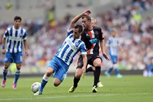 Brighton & Hove Albion vs. Blackpool: 2014-15 Season Home Game