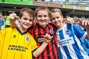 Brighton & Hove Albion vs. Blackpool: 2014-15 Season Home Game