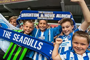 Brighton & Hove Albion vs. Blackpool: 2014-15 Season Home Game