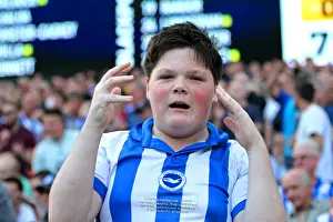 Brighton & Hove Albion vs. Blackpool: 2014-15 Season Home Game