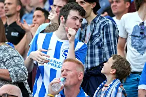 Brighton & Hove Albion vs. Blackpool: 2014-15 Season Home Game