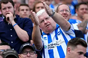 Brighton & Hove Albion vs. Blackpool: 2014-15 Season Home Game