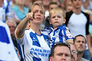 Brighton & Hove Albion vs. Blackpool: 2014-15 Season Home Game