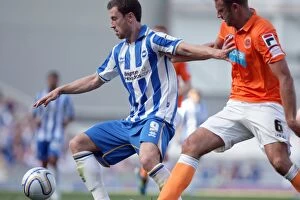 Images Dated 20th August 2011: Brighton & Hove Albion vs. Blackpool: 2011-12 Season Home Game