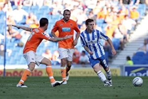 Images Dated 20th August 2011: Brighton & Hove Albion vs. Blackpool: 2011-12 Season Home Opener