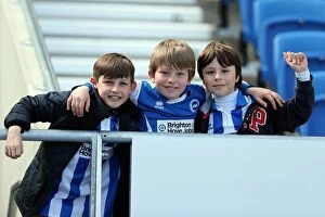 Images Dated 20th April 2013: Brighton & Hove Albion vs. Blackpool: 2012-13 Season Home Game