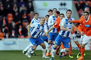 Blackpool - 29-12-2013 Prints: Brighton & Hove Albion vs. Blackpool: Away Game - December 29, 2013