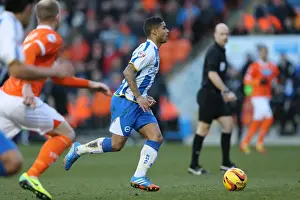 Blackpool - 29-12-2013 Prints: Brighton & Hove Albion vs. Blackpool: Away Game - December 29, 2013 (Season 2013-14)