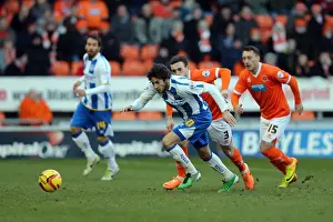 Blackpool - 29-12-2013 Prints: Brighton & Hove Albion vs. Blackpool: Away Game - December 29, 2013