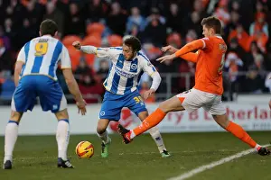 Blackpool - 29-12-2013 Prints: Brighton & Hove Albion vs. Blackpool: Away Game - December 29, 2013 (Season 2013-14)