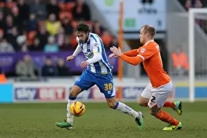 Brighton & Hove Albion vs. Blackpool: Away Game - December 29, 2013