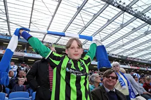 Brighton & Hove Albion vs. Blackpool: A Fight for Victory (21/04/14)