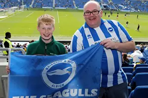 Brighton & Hove Albion vs. Blackpool: A Fight for Victory (21/04/14)