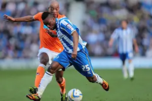Blackpool - 20-04-2013 Prints: Brighton & Hove Albion vs. Blackpool: A Home Game Battle from the 2012-13 Season