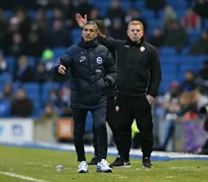 Images Dated 13th February 2016: Brighton and Hove Albion vs. Bolton Wanderers: A Fierce Battle in the Sky Bet Championship