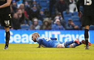Images Dated 13th February 2016: Brighton and Hove Albion vs. Bolton Wanderers: A Fight in the Sky Bet Championship (February 13)