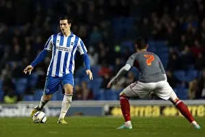 Bolton Wanderers - 24-11-2012 Prints: Brighton & Hove Albion vs. Bolton Wanderers (2012-13): A Glimpse into a Home Game