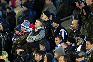 Bolton Wanderers - 24-11-2012 Prints: Brighton & Hove Albion vs. Bolton Wanderers (2012-13): Home Battle - 24-11-2012