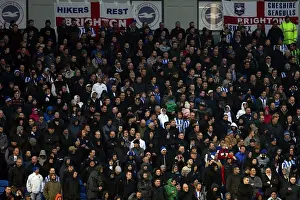 Brighton & Hove Albion vs. Bolton Wanderers: 2012-13 Home Game