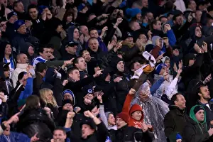Bolton Wanderers - 24-11-2012 Prints: Brighton & Hove Albion vs. Bolton Wanderers: 2012-13 Home Game