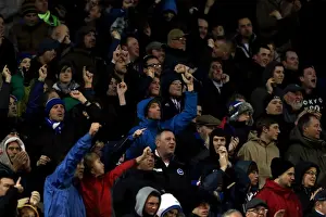 Bolton Wanderers - 24-11-2012 Prints: Brighton & Hove Albion vs. Bolton Wanderers: 2012-13 Home Game