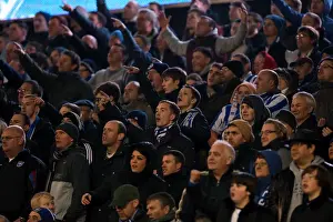 Brighton & Hove Albion vs. Bolton Wanderers: 2012-13 Home Game