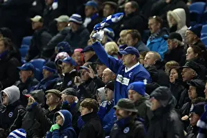 Bolton Wanderers - 24-11-2012 Prints: Brighton & Hove Albion vs. Bolton Wanderers: 2012-13 Home Game