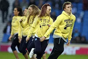 Brighton & Hove Albion vs. Bolton Wanderers (2012-13 Home Game)