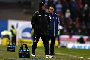 Bolton Wanderers - 24-11-2012 Prints: Brighton & Hove Albion vs. Bolton Wanderers: 2012-13 Home Game