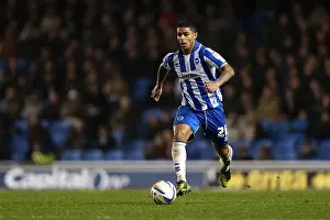 Brighton & Hove Albion vs. Bolton Wanderers: 2012-13 Home Match