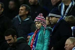 Brighton & Hove Albion vs. Bolton Wanderers (2012-13 Season: Home Game)
