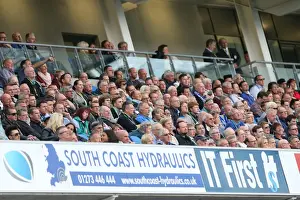 Brighton & Hove Albion vs. Bolton Wanderers: 2014-15 Season Home Game