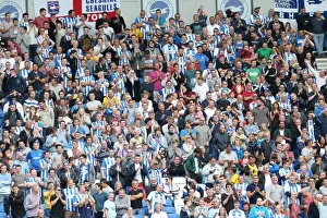 Brighton & Hove Albion vs. Bolton Wanderers: 2014-15 Season Home Game