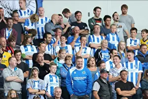 Brighton & Hove Albion vs. Bolton Wanderers: 2014-15 Season Home Game