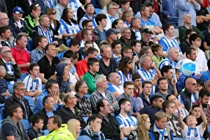 Brighton & Hove Albion vs. Bolton Wanderers: 2014-15 Season Home Game