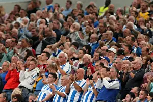 Brighton & Hove Albion vs. Bolton Wanderers: 2014-15 Season Home Game