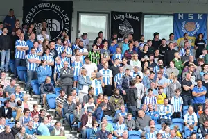 Brighton & Hove Albion vs. Bolton Wanderers: 2014-15 Season Home Game