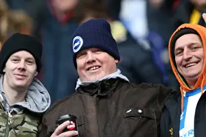 Brighton & Hove Albion vs. Bolton Wanderers (Away): 15-03-14