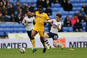 Brighton & Hove Albion vs. Bolton Wanderers (Away): 15-03-14 - The Unforgettable 13-14 Season Game