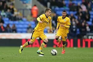 Images Dated 15th March 2014: Brighton & Hove Albion vs. Bolton Wanderers (Away): March 15, 2014
