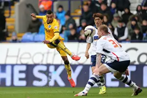 Brighton & Hove Albion vs. Bolton Wanderers: Away Game Highlights (15-03-14)