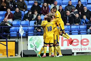 Brighton & Hove Albion vs. Bolton Wanderers (Away): March 15, 2014 (13-14 Season)