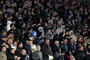 Bolton Wanderers - 24-11-2012 Prints: Brighton & Hove Albion vs. Bolton Wanderers (November 24, 2012) - 2012-13 Home Season