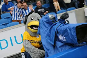 Bolton Wanderers - 21-09-2013 (Spanish Day!) Prints: Brighton & Hove Albion vs. Bolton Wanderers (Spanish Day): 21-09-2013 - Home Game