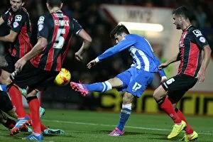 Images Dated 1st November 2014: Brighton & Hove Albion vs. Bournemouth: 2014-15 Away Game