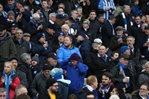 Images Dated 1st January 2018: Brighton and Hove Albion vs. Bournemouth: A Premier League Battle at American Express Community