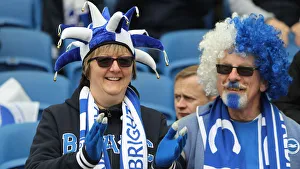 Brighton and Hove Albion vs Bournemouth: Premier League Battle at American Express Community Stadium (13APR19)