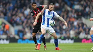 Brighton and Hove Albion vs Bournemouth: Premier League Battle at American Express Community Stadium (13APR19)